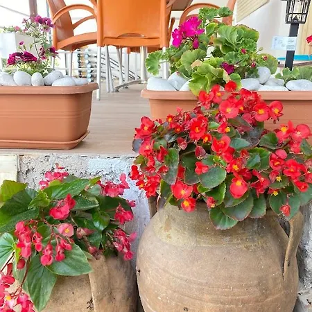 דירה Geranium