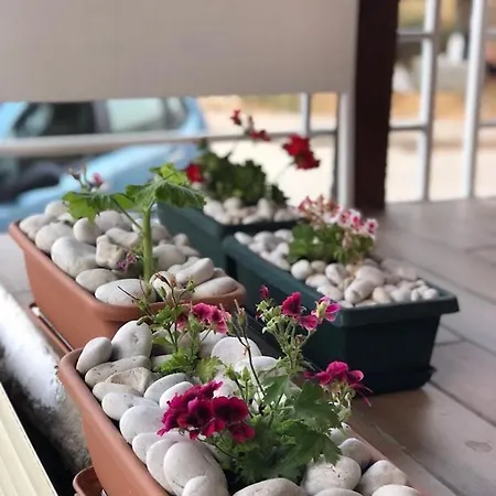 Geranium דירה