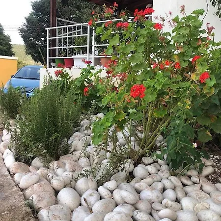 דירה Geranium