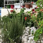 Geranium *