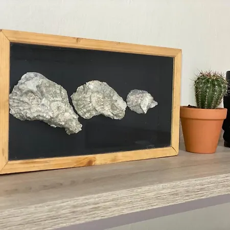 Geranium Apartment Ksamil