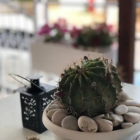 Apartment Geranium Ksamil