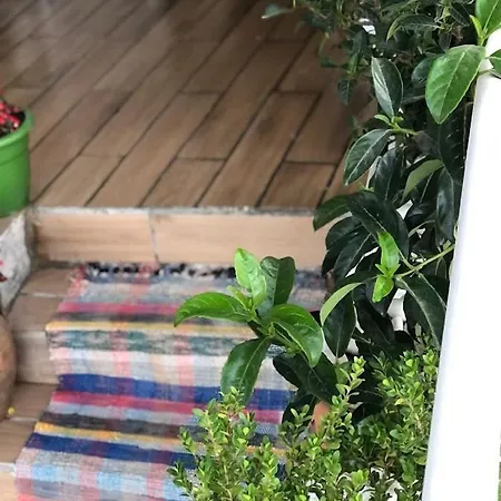 Geranium Apartment *