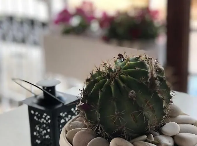 Appartement Geranium Ksamil