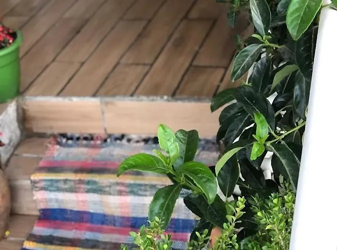 Geranium Appartement *