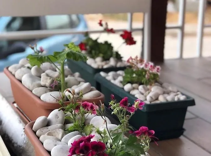 Geranium Appartement